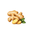 Ginger 